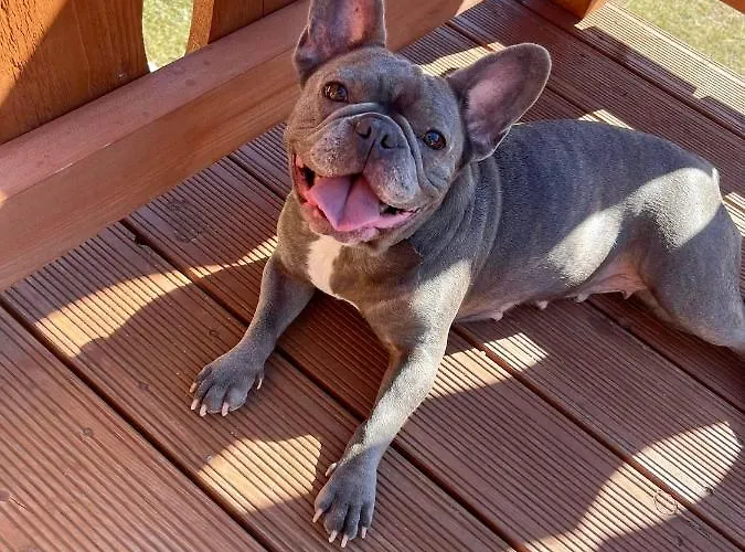 Przycup W Karkonoszach W Okolicy Karpacza 7 Minut Od Karpacza Marczyce Sosnowkakarkonosze, Karpacz, Szklarska Poreba- Sauna Finska * Karpacz