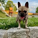 Apartament Przycup W Karkonoszach Karpacz