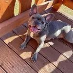 Przycup W Karkonoszach * Karpacz