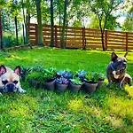 Przycup W Karkonoszach W Okolicy Karpacza 7 Minut Od Karpacza Marczyce Sosnowkakarkonosze, Karpacz, Szklarska Poreba- Sauna Finska Apartment *